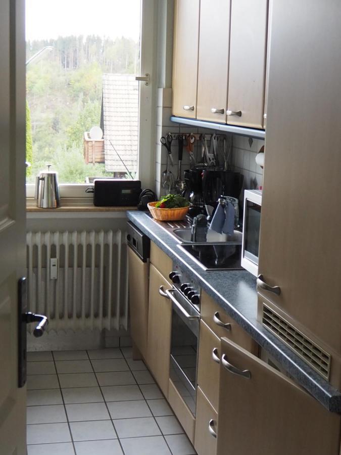 אלטנאו Ferienwohnung Am Kunstberg 29 מראה חיצוני תמונה