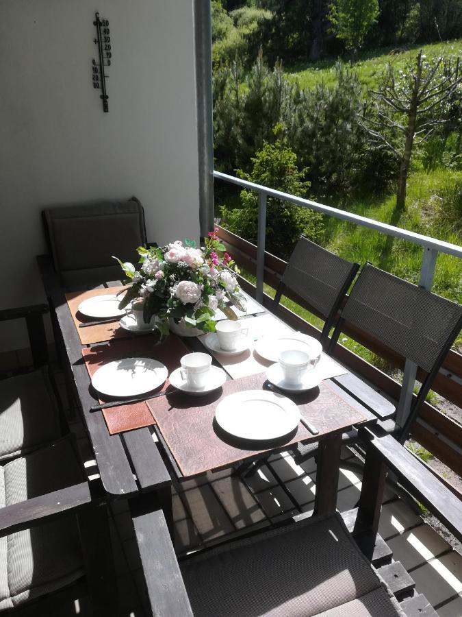 אלטנאו Ferienwohnung Am Kunstberg 29 מראה חיצוני תמונה
